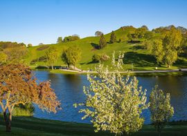 Grün bewachsener Olympiaberg im Olympiapark