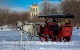 Kutschfahrt im Englischen Garten Pferdeschlittenfahrt im Münchener Englischen Garten inmitten einer weißen Schneelandschaft.
