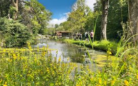 Pond at the Birnbaum fish farm, with several people marching along the shore.